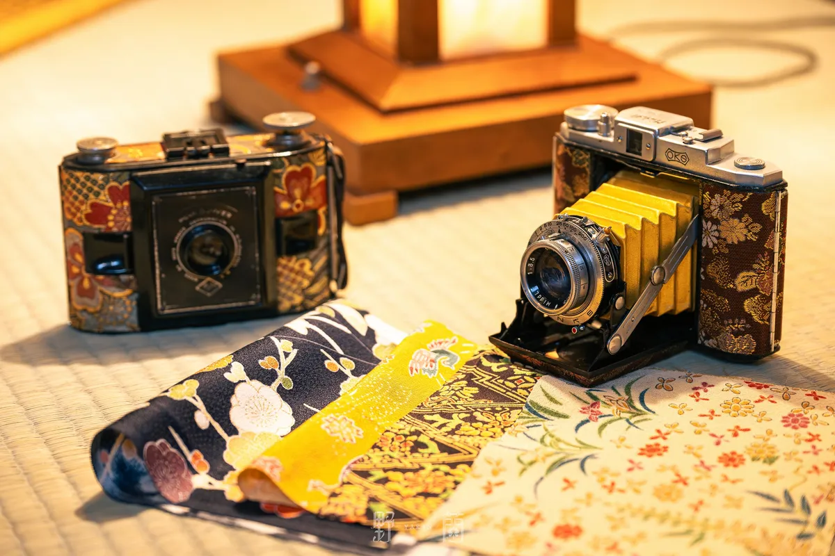 tatami 5